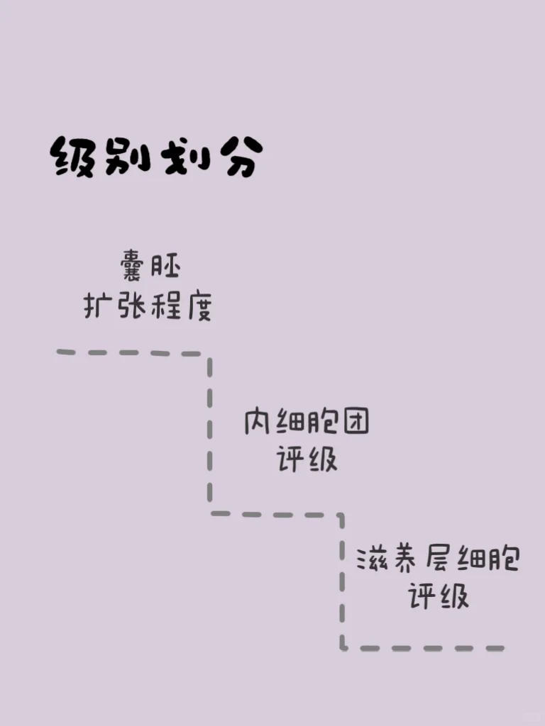 试管·冷冻囊胚,试管代孕一般怎么收费的&50岁还可以试管代孕吗