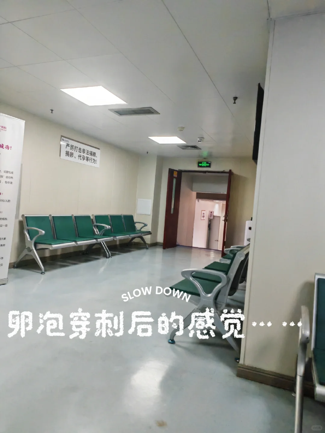 卵泡穿刺到底疼不疼……,试管代孕生选性别