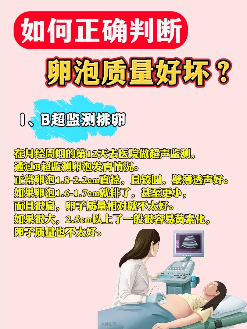 如何正确判断卵泡质量好坏？,供卵试管费用