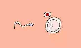 重庆公立供卵医院排名榜,供卵助孕公司哪家