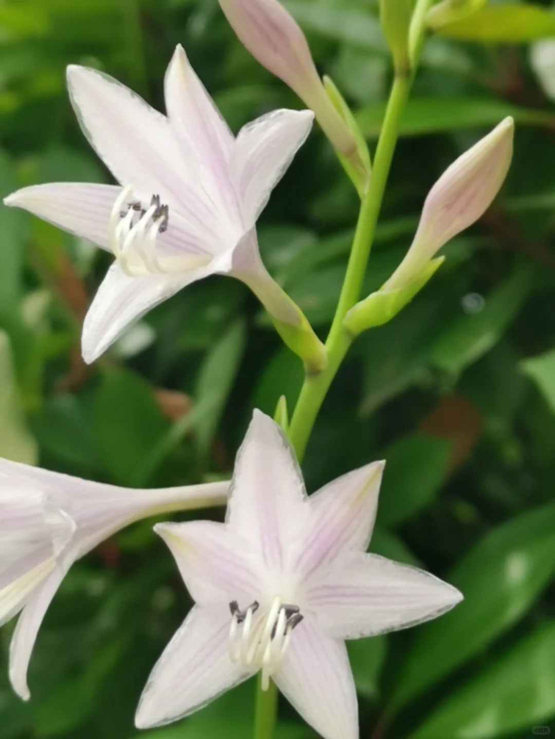 移植吃药,国内哪里可以供精_国内买卵子做试管