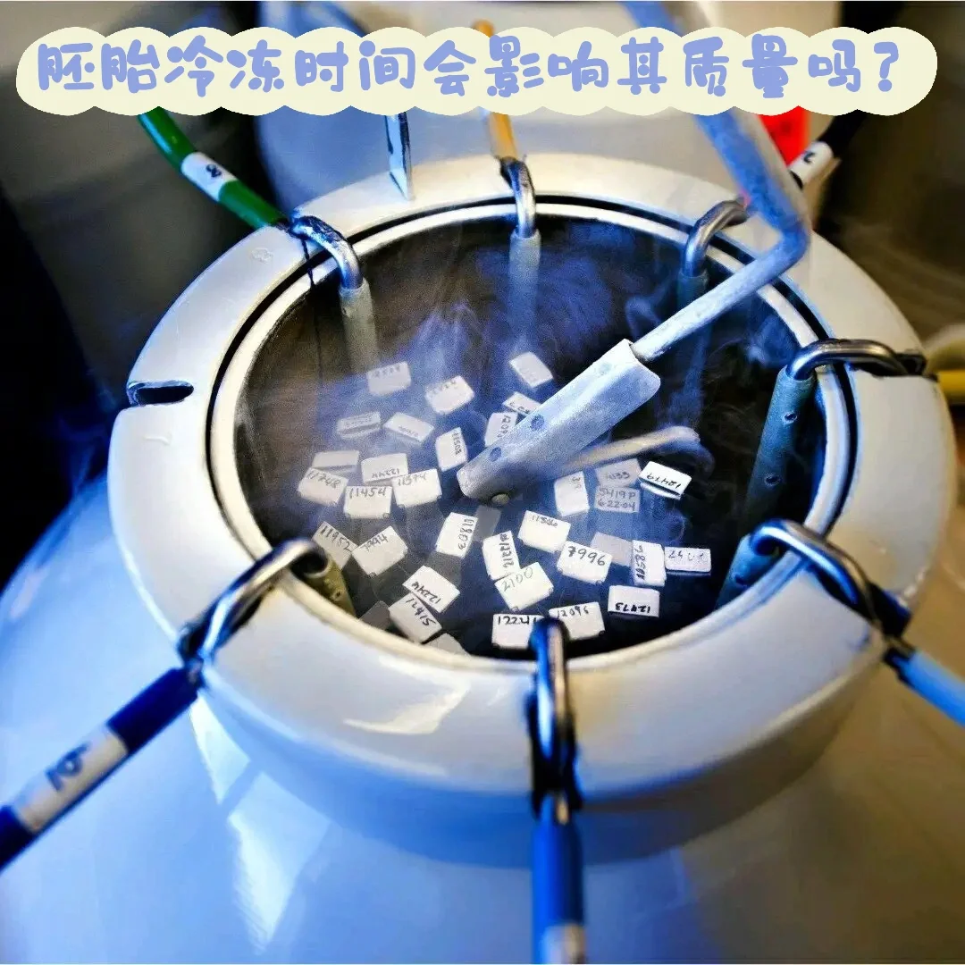 冷冻时间影响胚胎质量吗?,代孕怎么找专业公司