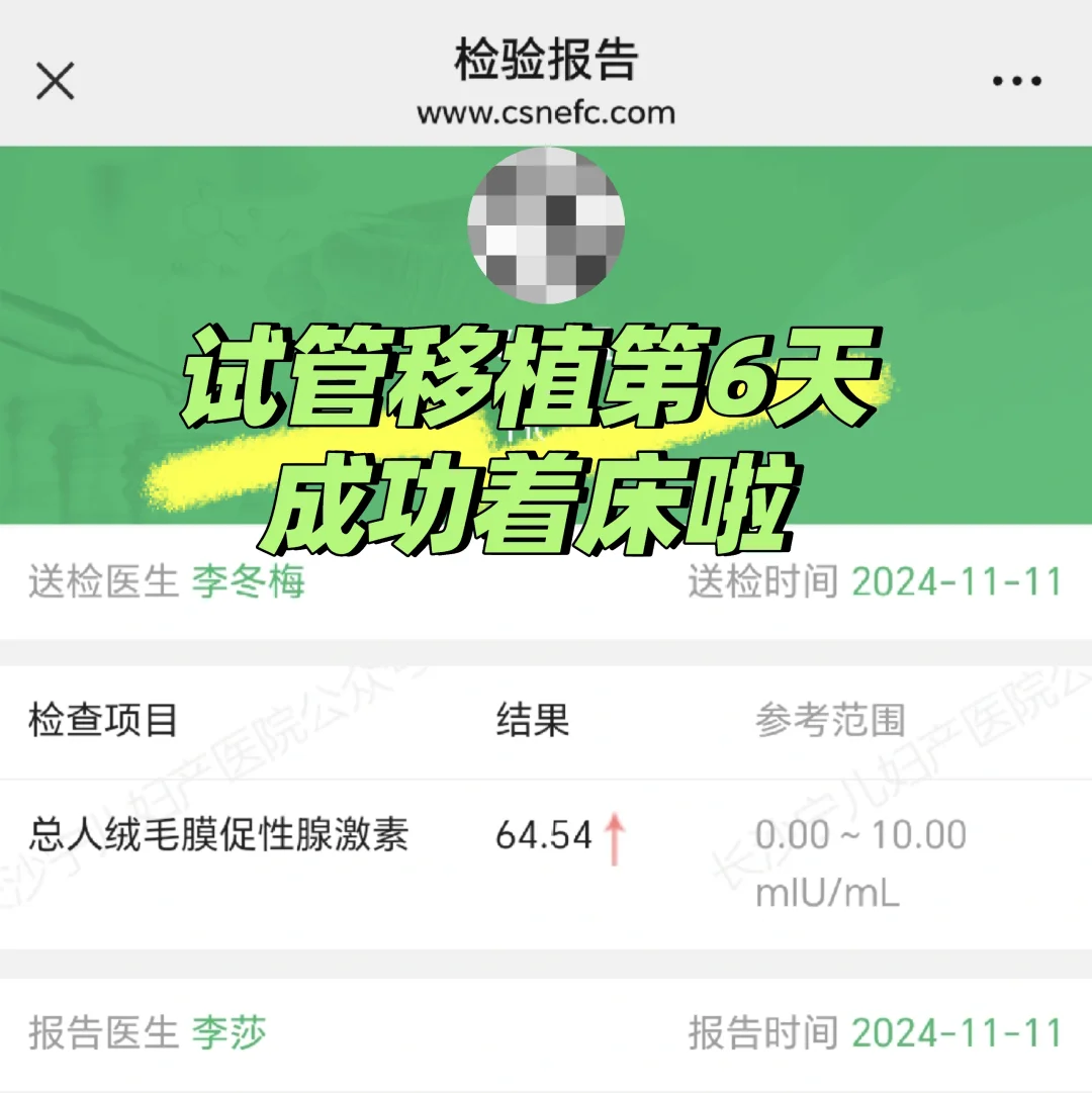 试管移植，一次成功的葵花宝典,三代试管代孕费用，国内哪家供卵试管好一点