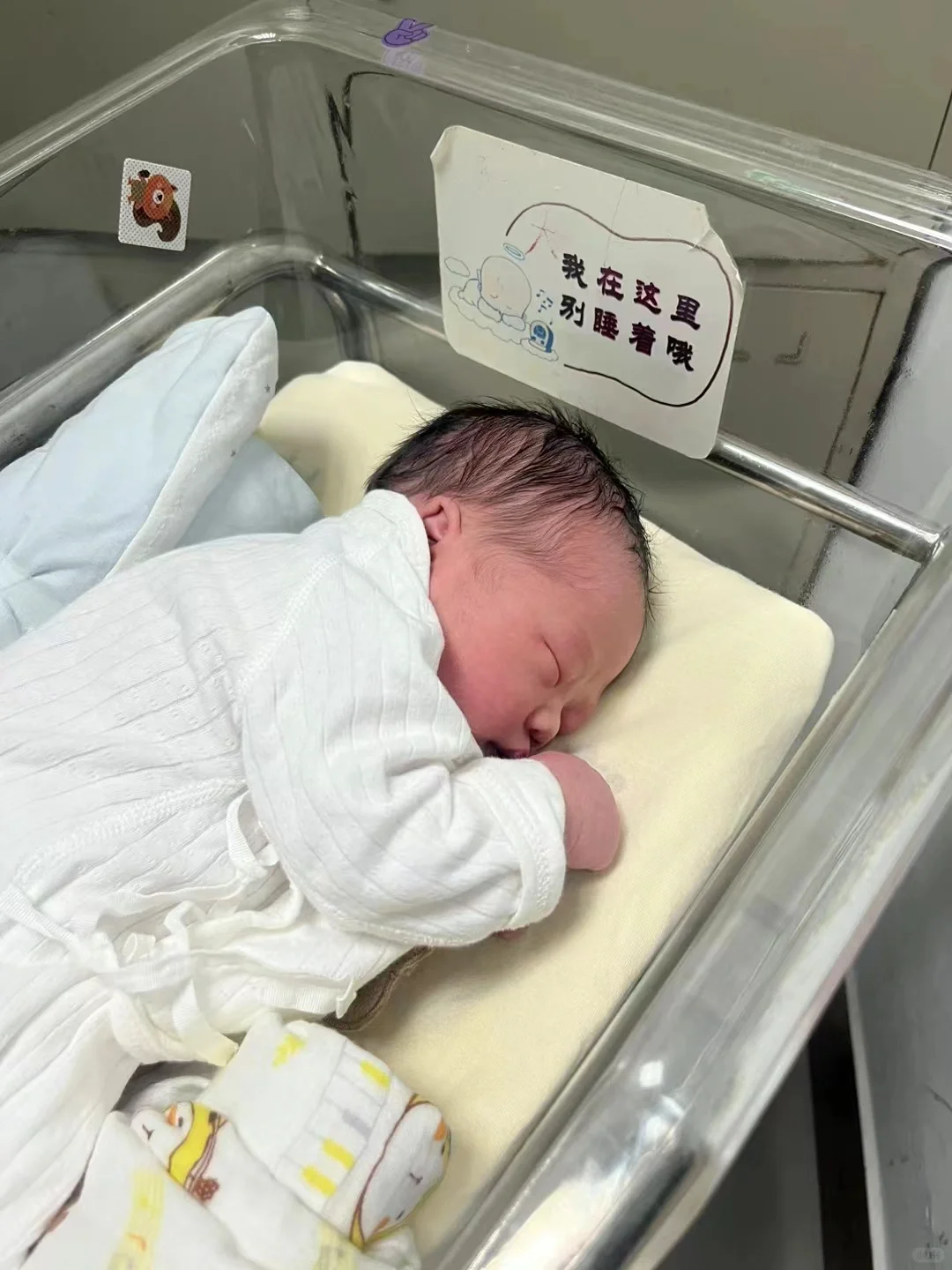 提高卵子质量👉多吃这5⃣类食物🥦,代孕包成功生男孩-人工试管代怀妈妈代妈服务