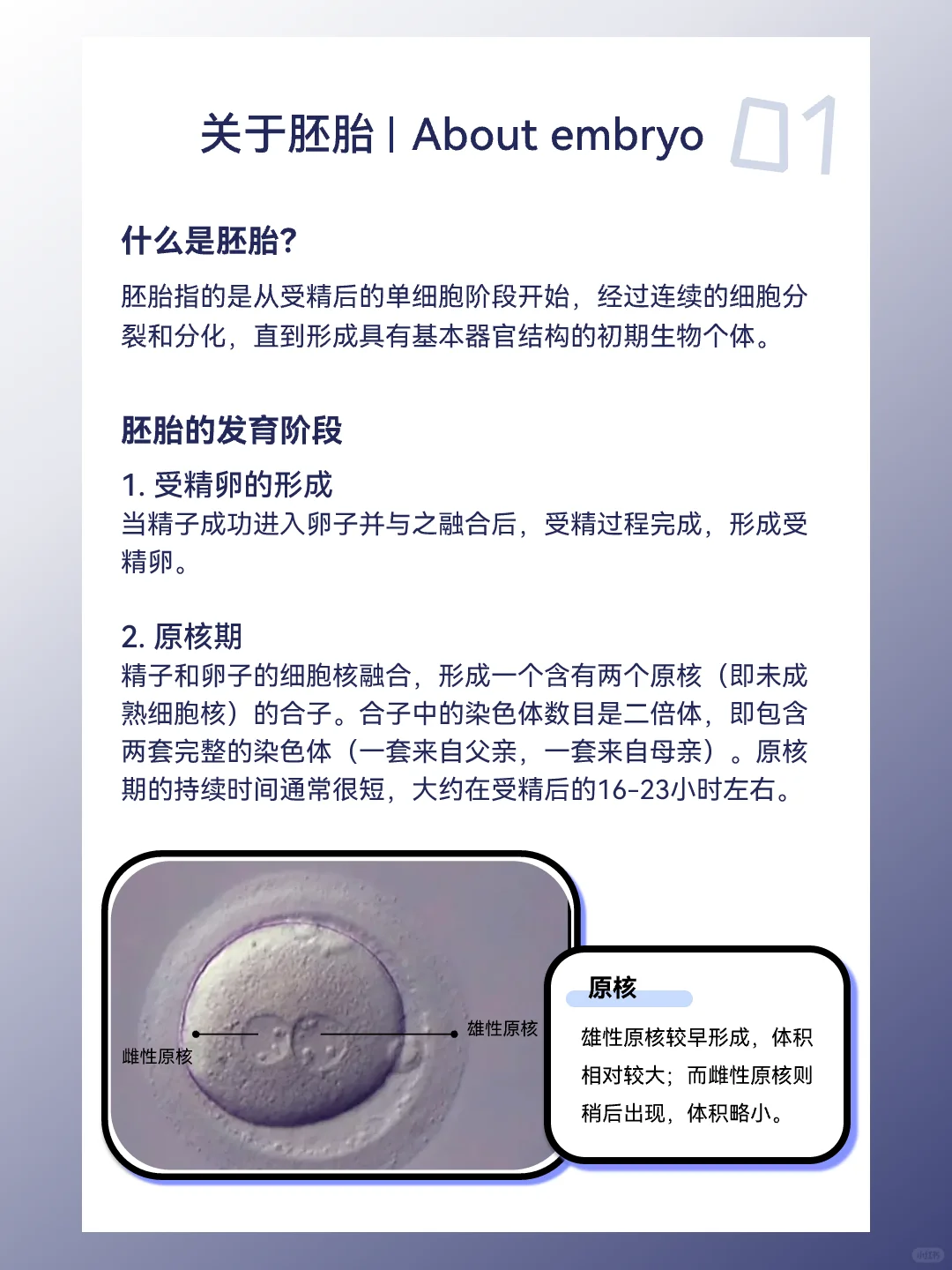 关于胚胎,正规代孕哪家好&代孕公司/机构