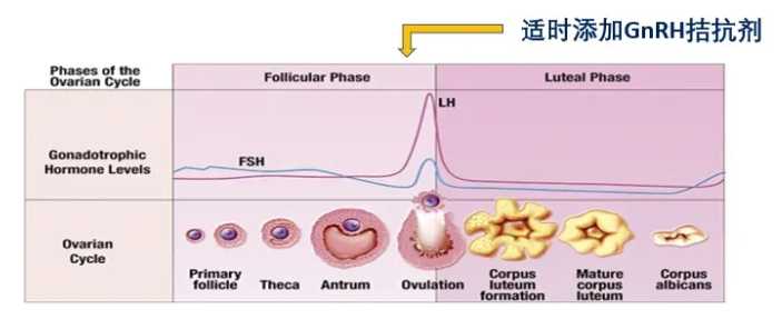 代怀微信-多囊卵巢囊肿怎么治疗比较好的医院